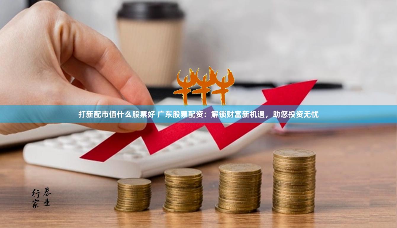 打新配市值什么股票好 广东股票配资：解锁财富新机遇，助您投资无忧