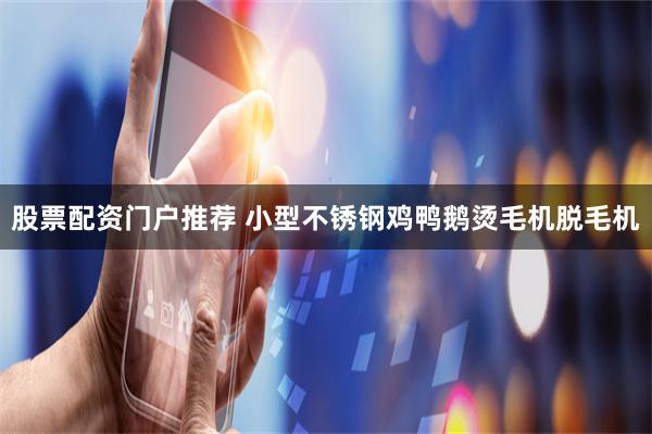 股票配资门户推荐 小型不锈钢鸡鸭鹅烫毛机脱毛机