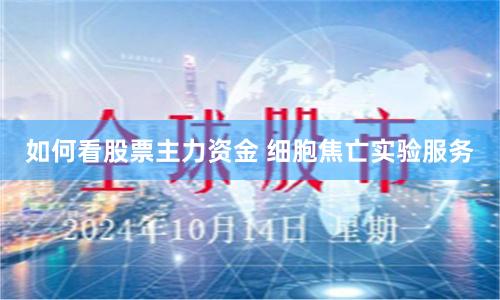 如何看股票主力资金 细胞焦亡实验服务