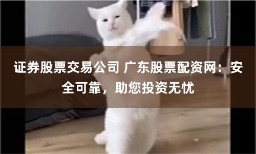 证券股票交易公司 广东股票配资网：安全可靠，助您投资无忧