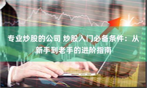 专业炒股的公司 炒股入门必备条件：从新手到老手的进阶指南