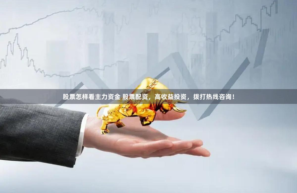 股票怎样看主力资金 股票配资，高收益投资，拨打热线咨询！