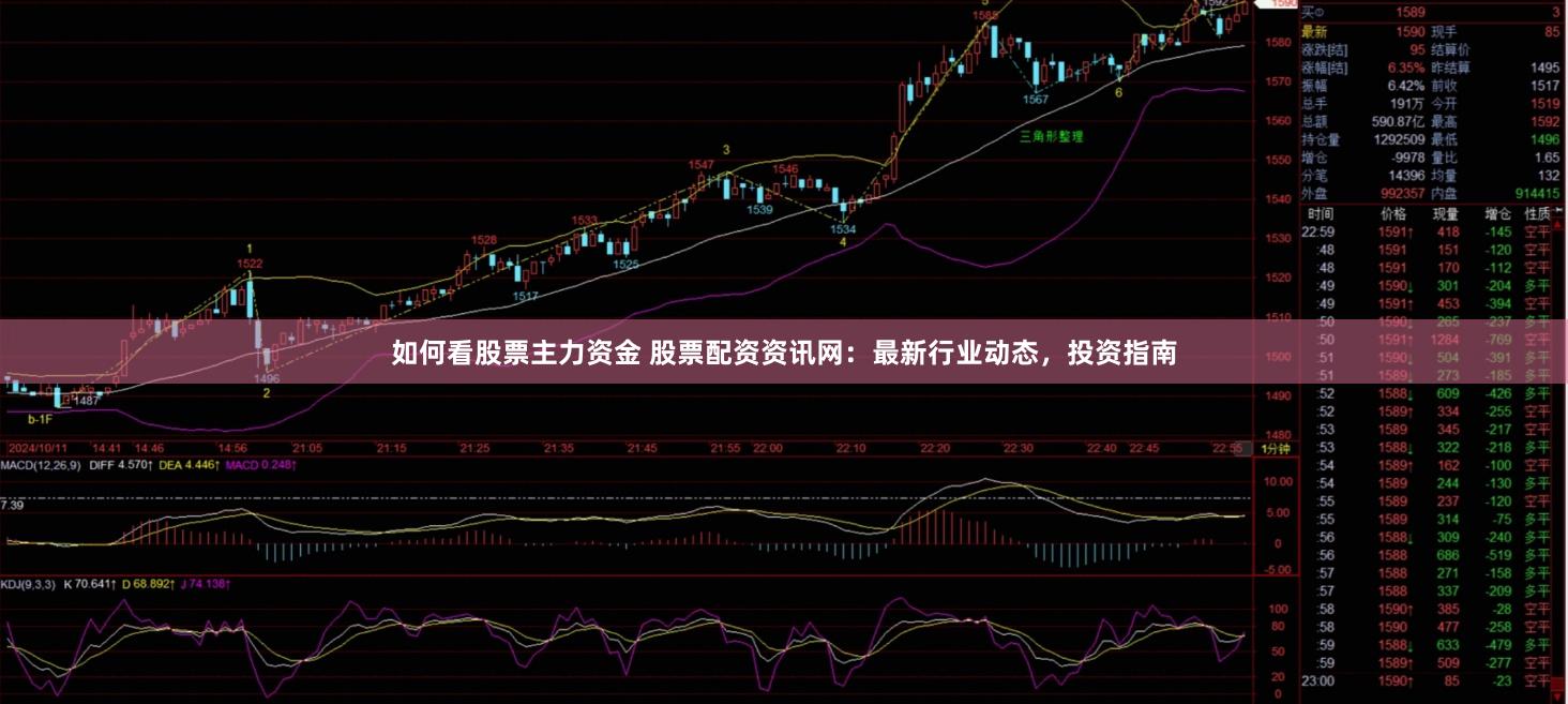 如何看股票主力资金 股票配资资讯网：最新行业动态，投资指南