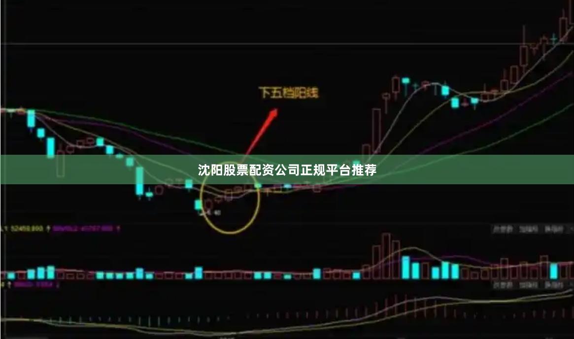 沈阳股票配资公司正规平台推荐
